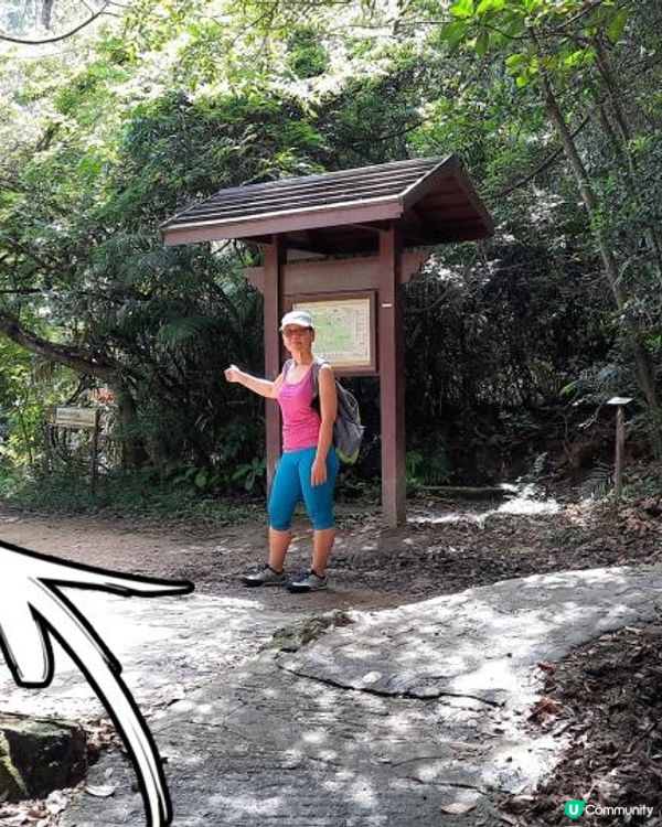 【太古至大潭道行山篇】三义洞、坑槽洞、蘑菇石/魚翅石/人面石