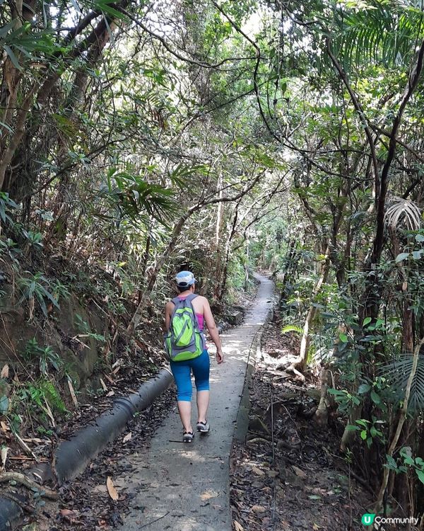 【太古至大潭道行山篇】三义洞、坑槽洞、蘑菇石/魚翅石/人面石