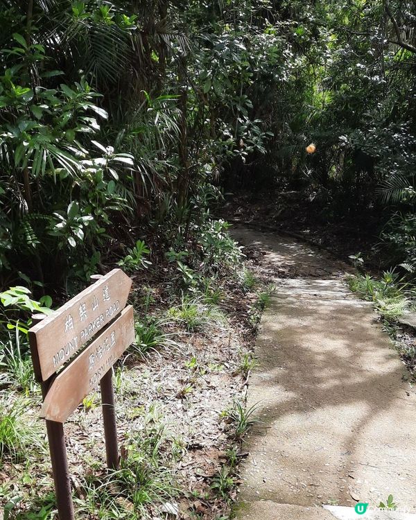 【太古至大潭道行山篇】三义洞、坑槽洞、蘑菇石/魚翅石/人面石