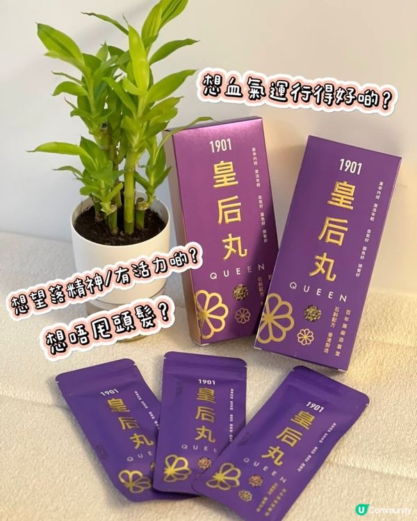 女人👩🏼恩物 要改善脫髮？腎虛？血氣好啲？皇后丸👱🏻‍♀️