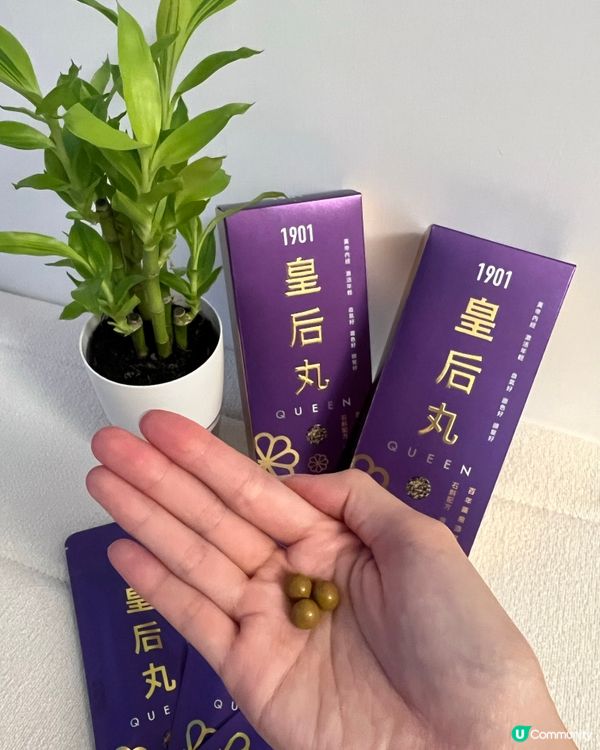 女人👩🏼恩物 要改善脫髮？腎虛？血氣好啲？皇后丸👱🏻‍♀️