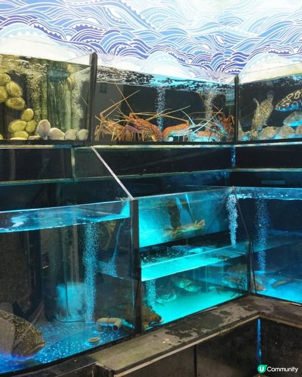 鴨脷洲【蟹點】小炒有穫氣 回味白胡椒蟹