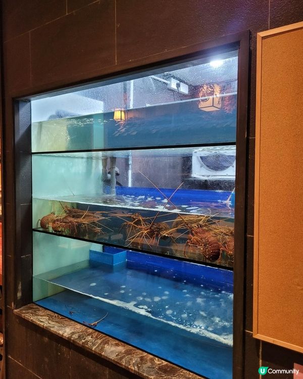 牛魔王的天堂 @ 肉佐 ( 銅鑼灣 )