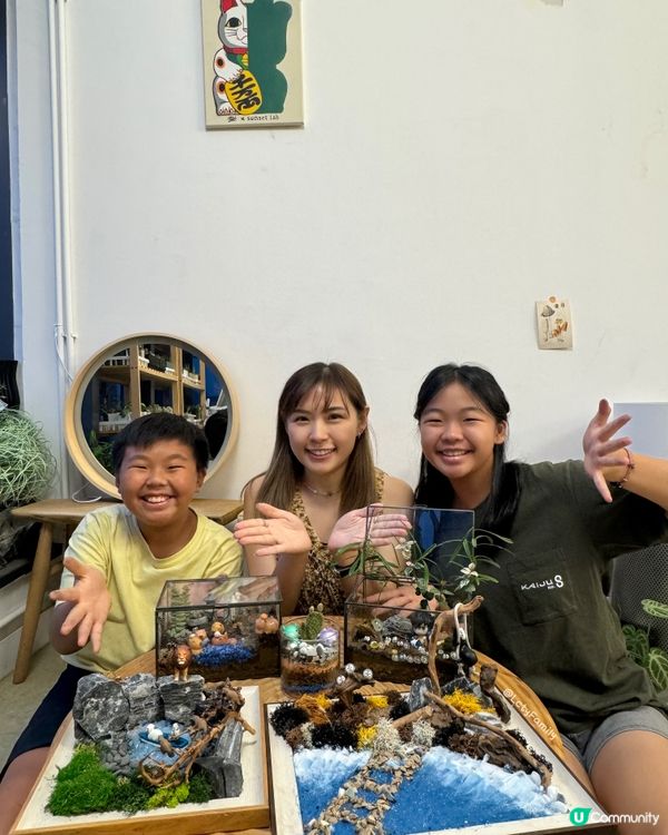 🌵 多肉植物陪你成長🌱點樣變盆景、牆畫？🤩 #文未優惠