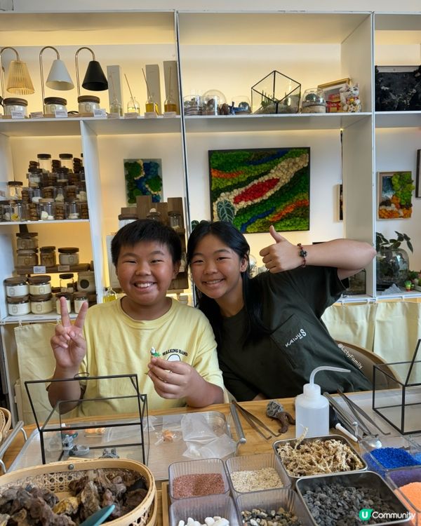 🌵 多肉植物陪你成長🌱點樣變盆景、牆畫？🤩 #文未優惠