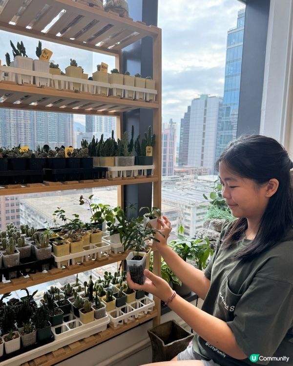 🌵 多肉植物陪你成長🌱點樣變盆景、牆畫？🤩 #文未優惠