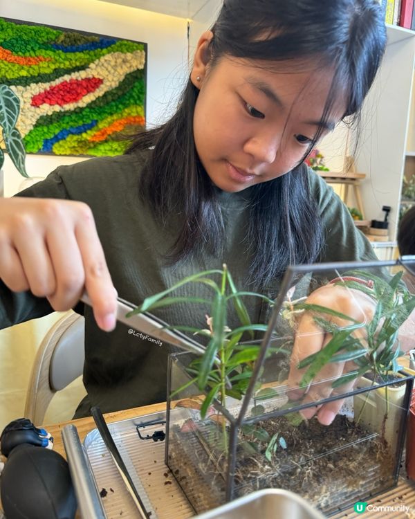 🌵 多肉植物陪你成長🌱點樣變盆景、牆畫？🤩 #文未優惠