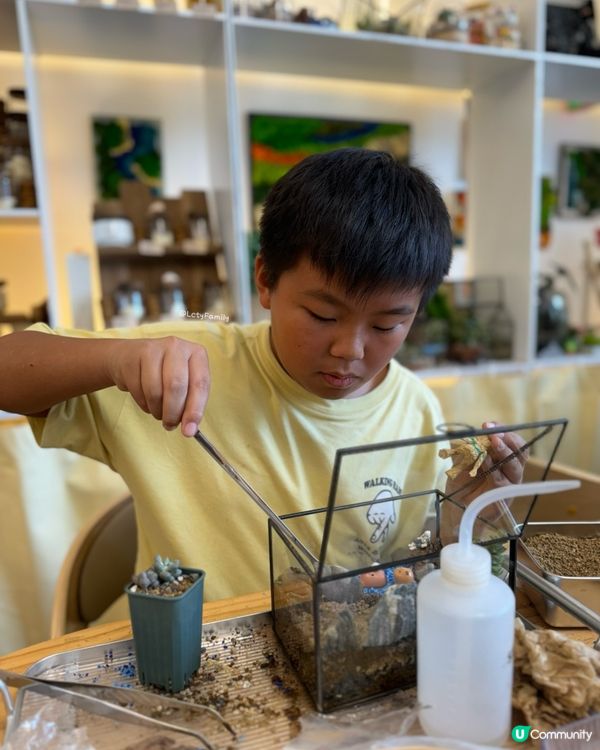 🌵 多肉植物陪你成長🌱點樣變盆景、牆畫？🤩 #文未優惠