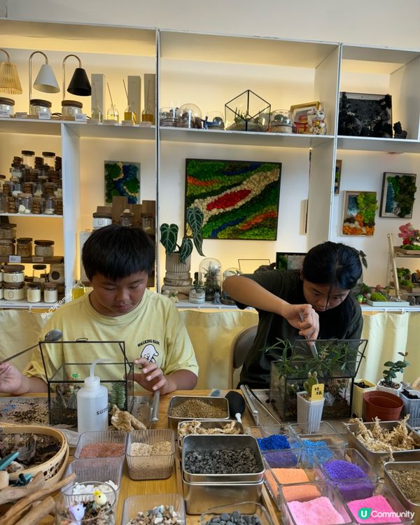 🌵 多肉植物陪你成長🌱點樣變盆景、牆畫？🤩 #文未優惠