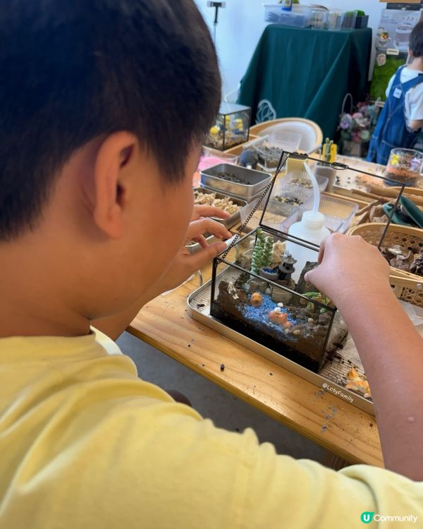 🌵 多肉植物陪你成長🌱點樣變盆景、牆畫？🤩 #文未優惠