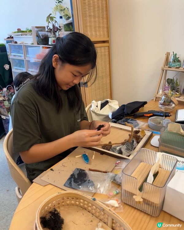 🌵 多肉植物陪你成長🌱點樣變盆景、牆畫？🤩 #文未優惠