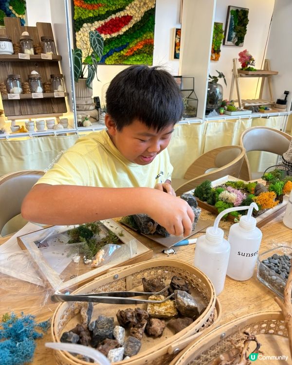 🌵 多肉植物陪你成長🌱點樣變盆景、牆畫？🤩 #文未優惠