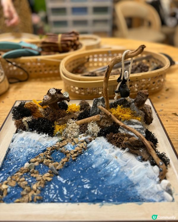 🌵 多肉植物陪你成長🌱點樣變盆景、牆畫？🤩 #文未優惠