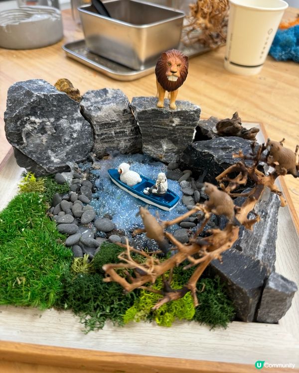 🌵 多肉植物陪你成長🌱點樣變盆景、牆畫？🤩 #文未優惠