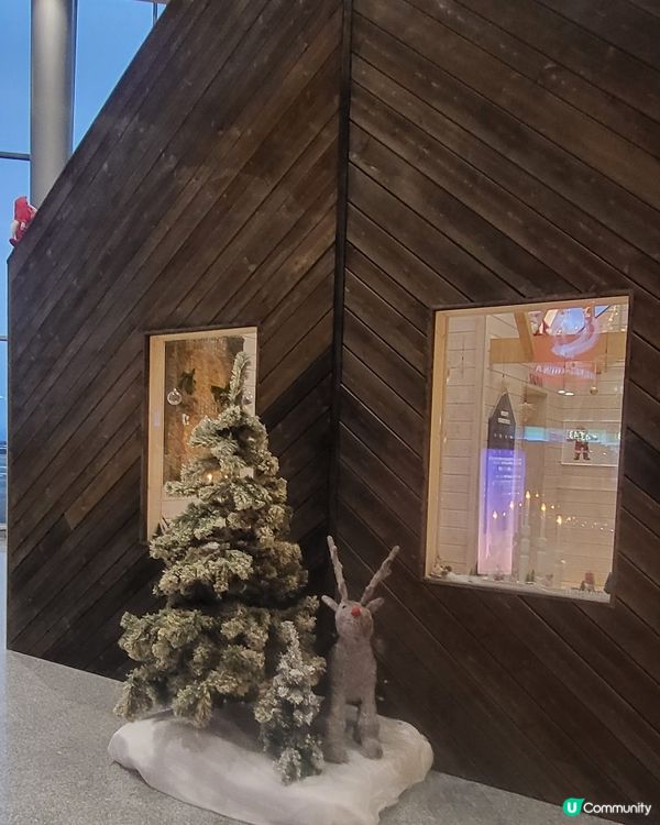 十一月初的聖誕佈置 Part II