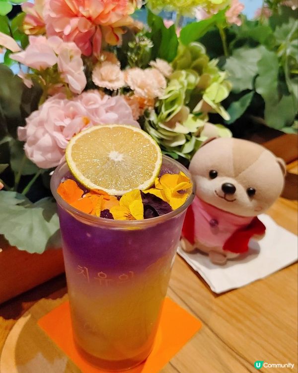 《Terrace in Seaside 時代廣場新店》