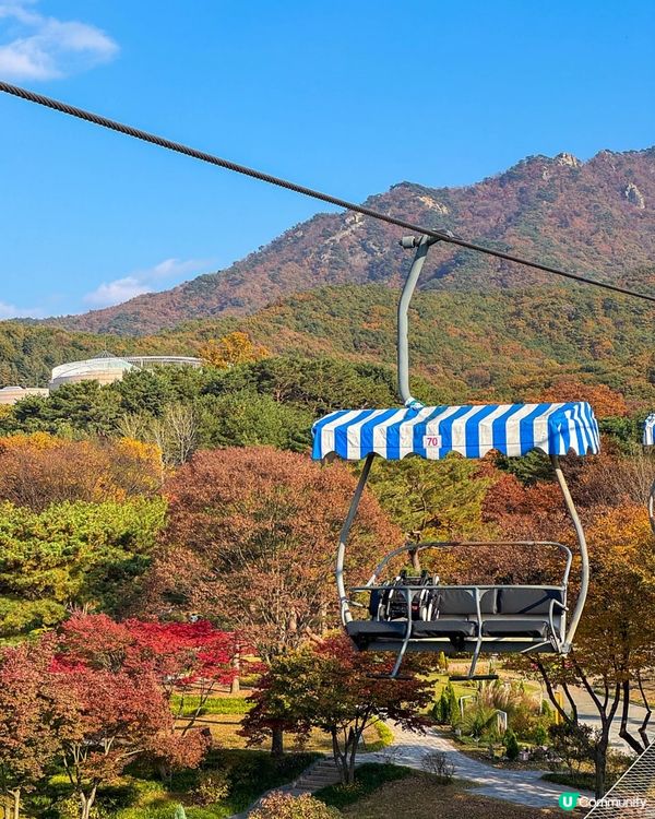 🇰🇷韓國首爾大公園一日遊