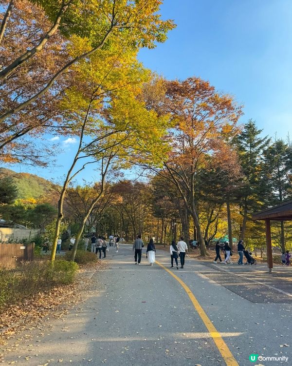 🇰🇷韓國首爾大公園一日遊