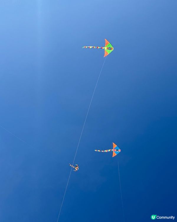 放風箏🪁燒烤野餐🪵行山遠足｜郊遊樂💖