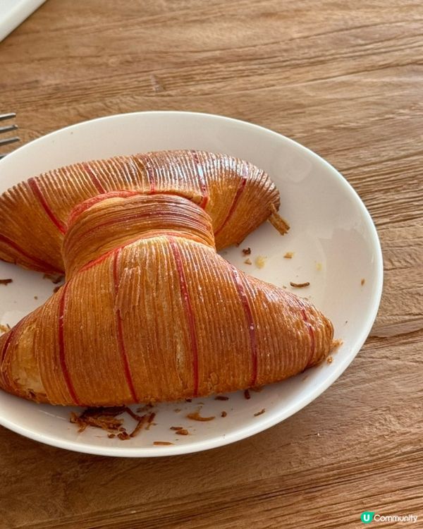 🇰🇷蝴蝶結牛角