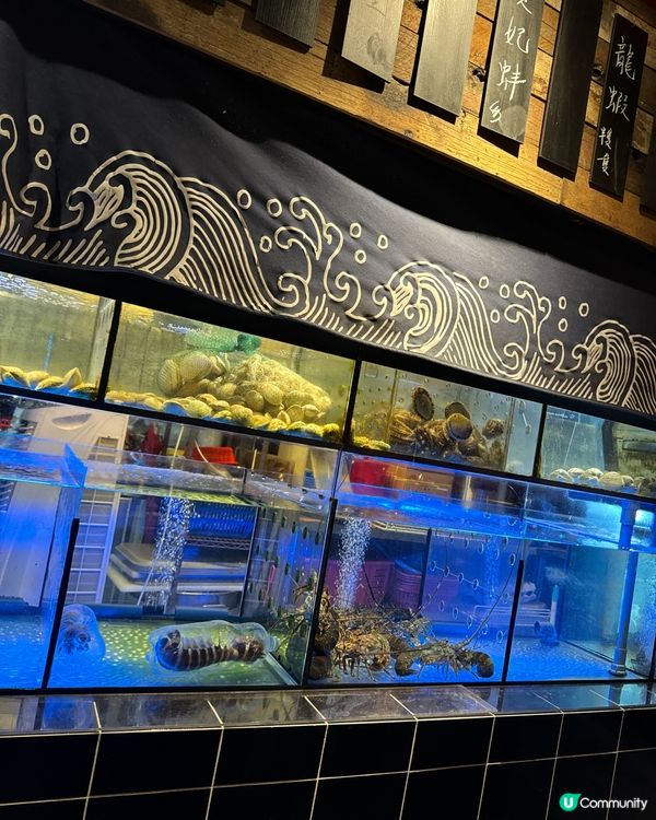 ## 蒸氣海鮮火鍋🦞一人一鍋，鮮味爆燈！🔥