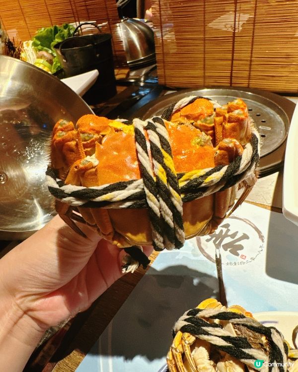 ## 蒸氣海鮮火鍋🦞一人一鍋，鮮味爆燈！🔥