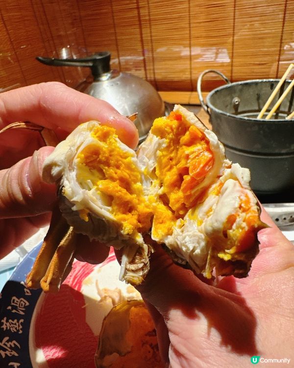 ## 蒸氣海鮮火鍋🦞一人一鍋，鮮味爆燈！🔥