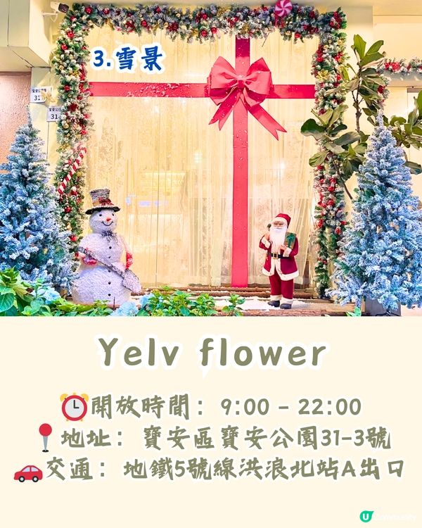深圳聖誕節必打卡café 5大推介🎄100+隻熊公仔/20+棵聖誕樹😍