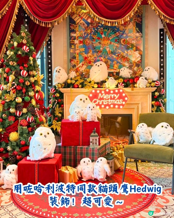 深圳聖誕節必打卡café 5大推介🎄100+隻熊公仔/20+棵聖誕樹😍