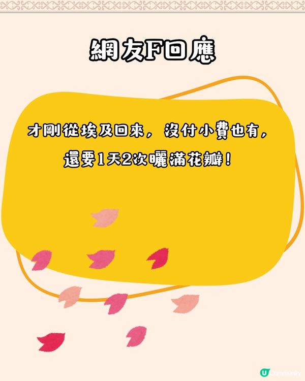 埃及旅遊 | 只需支付$1美金💰即獲小驚喜⁉️超有心思、有創意/多圖