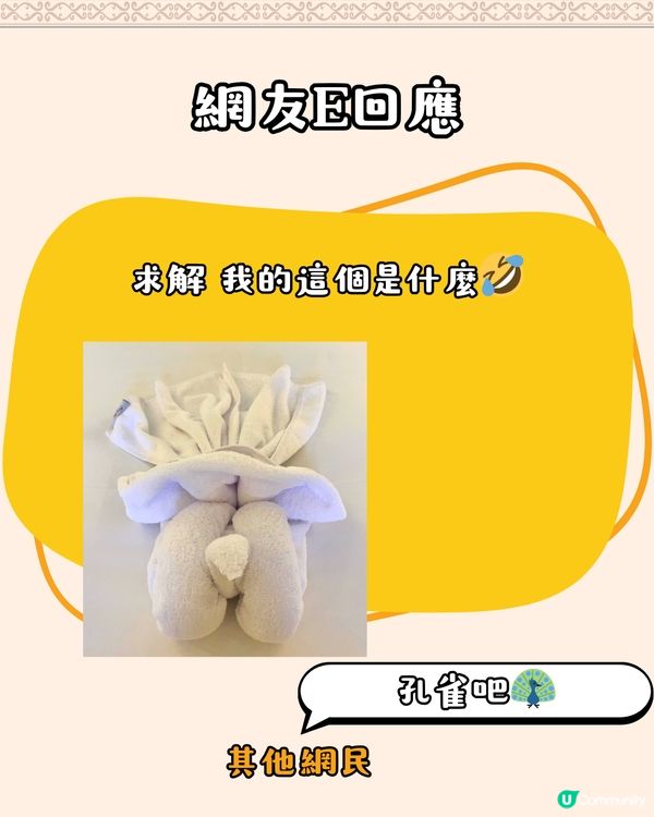 埃及旅遊 | 只需支付$1美金💰即獲小驚喜⁉️超有心思、有創意/多圖