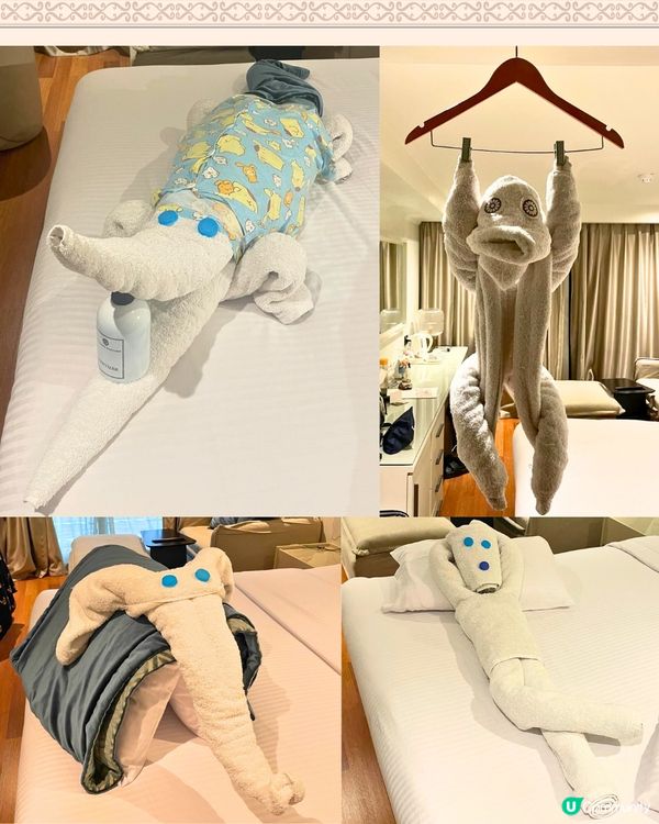 埃及旅遊 | 只需支付$1美金💰即獲小驚喜⁉️超有心思、有創意/多圖