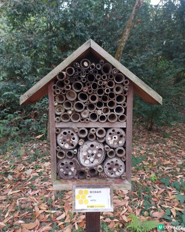 Bee Hotel 