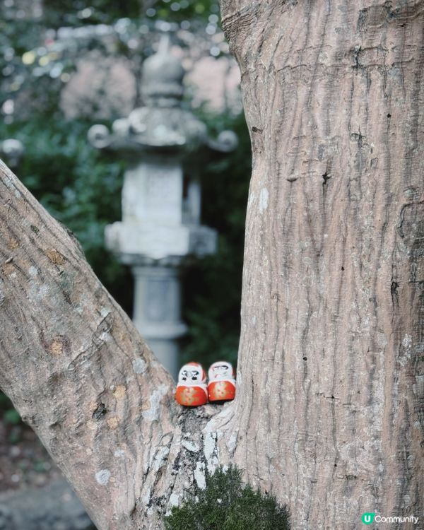 大阪必去景點—勝尾寺