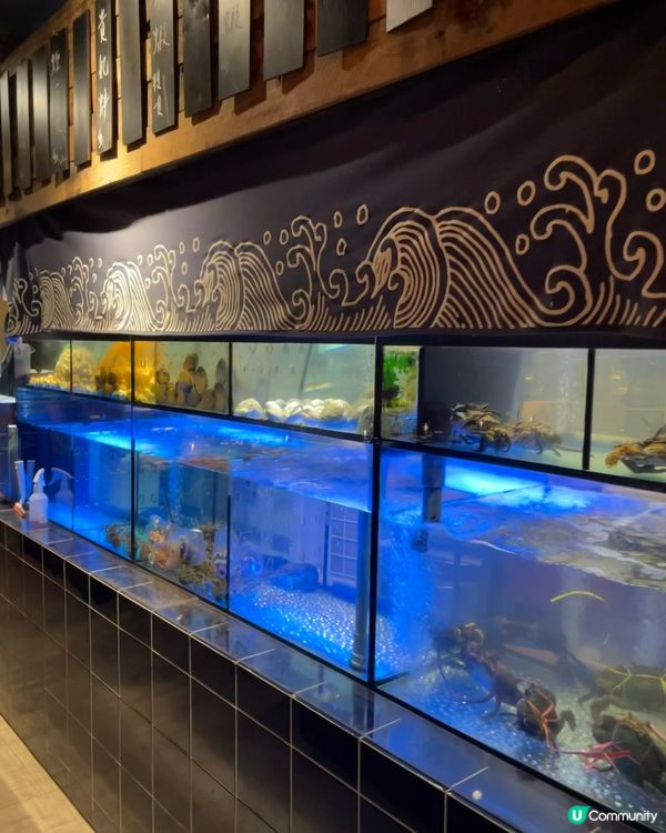 ## 銅鑼灣一人一鍋海鮮邊爐🦞  食到停唔到🤤