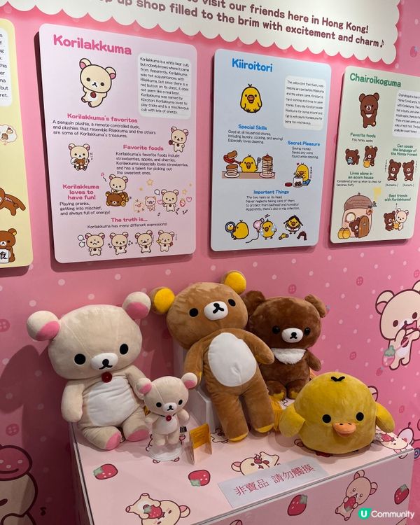 鬆弛熊fans必去😍Pop up store