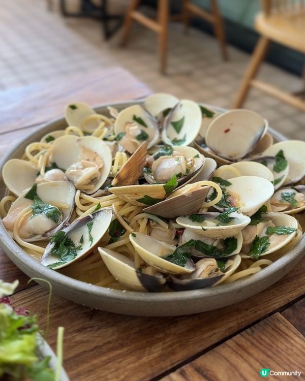 大埔藝術中心☕️靜靜地嘆咖啡