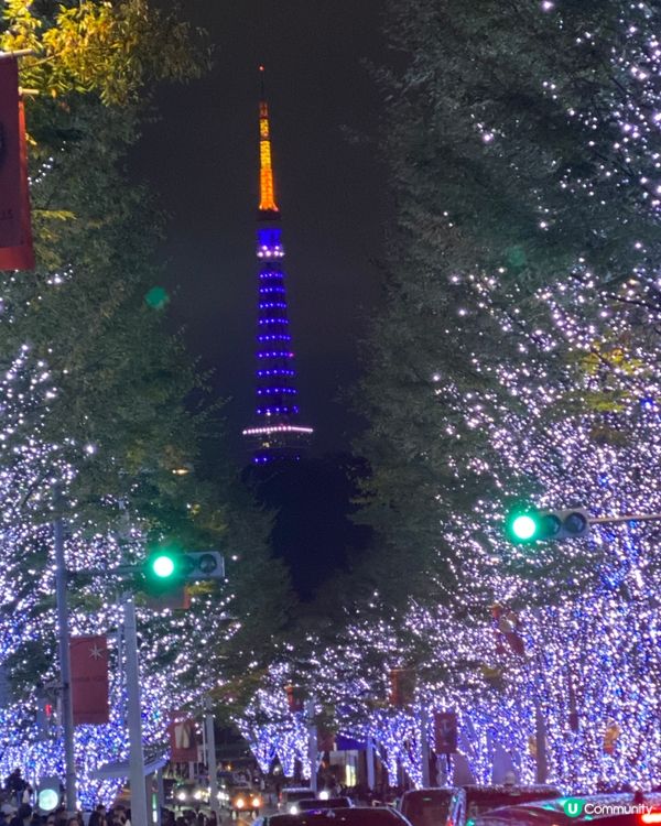 《聖誕燈飾》🎌東京鐵塔🗼六本木Hills🎌