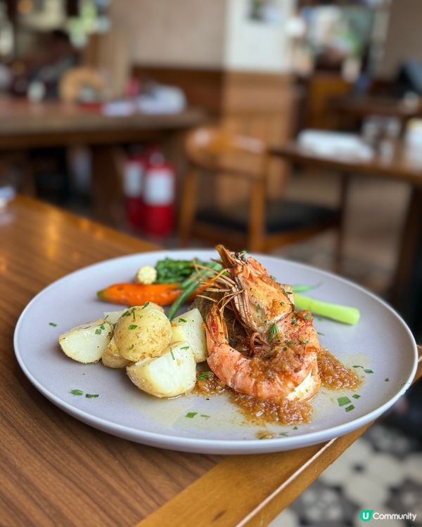 帝樂德國菜🍻 極多選擇半自助餐！