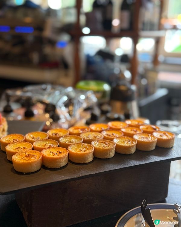 帝樂德國菜🍻 極多選擇半自助餐！