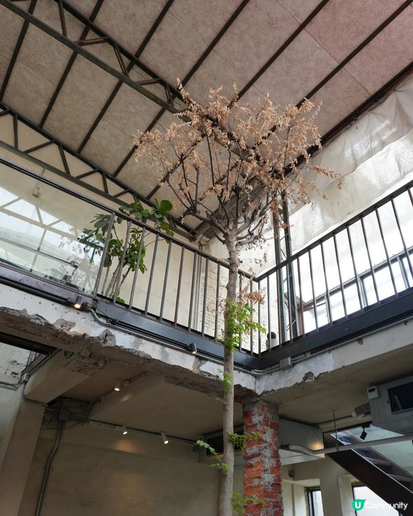 相當愜意又很高質的台中咖啡店☕