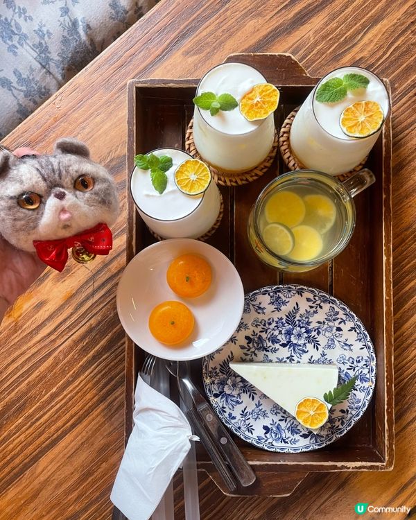 🇰🇷濟洲 柑橘🍊主題打卡cafe餐點