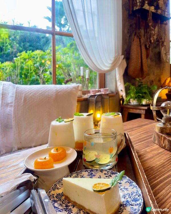 🇰🇷濟洲 柑橘🍊主題打卡cafe餐點