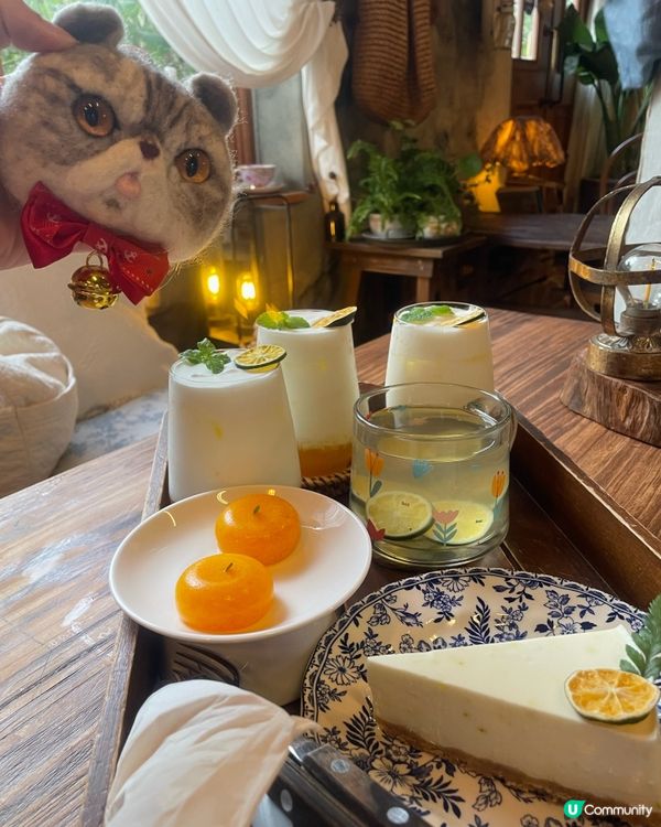 🇰🇷濟洲 柑橘🍊主題打卡cafe餐點