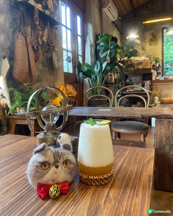 🇰🇷濟洲 柑橘🍊主題打卡cafe餐點