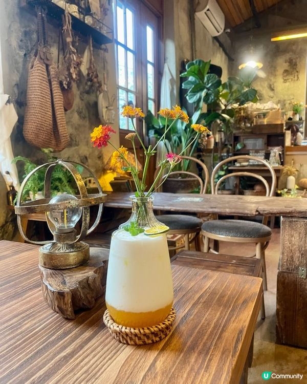 🇰🇷濟洲 柑橘🍊主題打卡cafe餐點