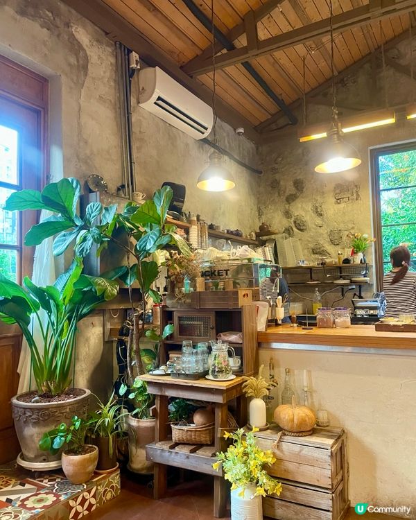 🇰🇷濟洲網紅打卡cafe🍊(多圖)