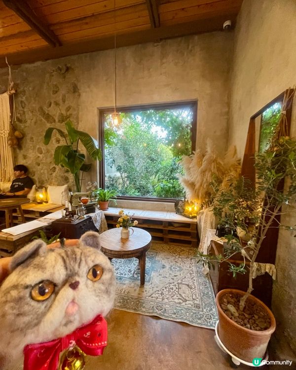 🇰🇷濟洲網紅打卡cafe🍊(多圖)