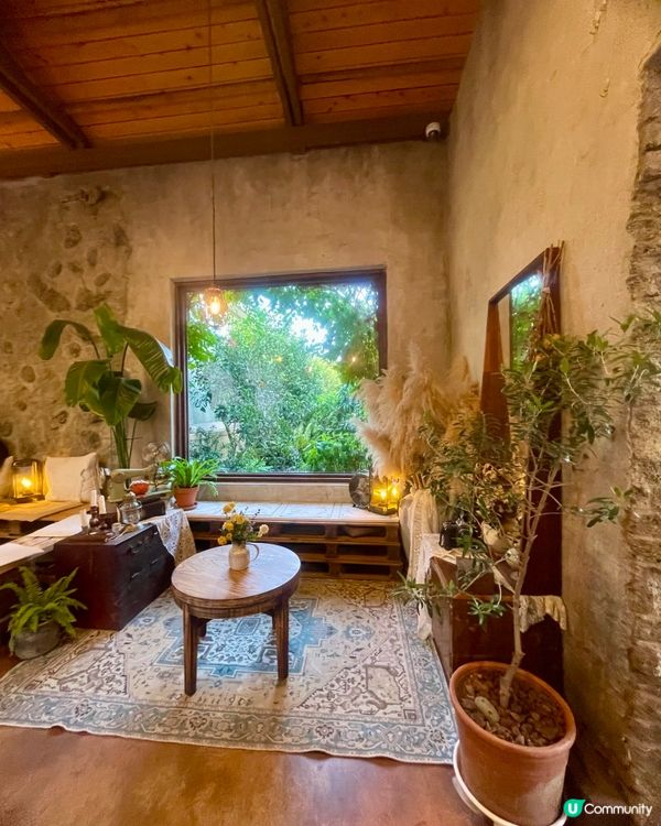 🇰🇷濟洲網紅打卡cafe🍊(多圖)