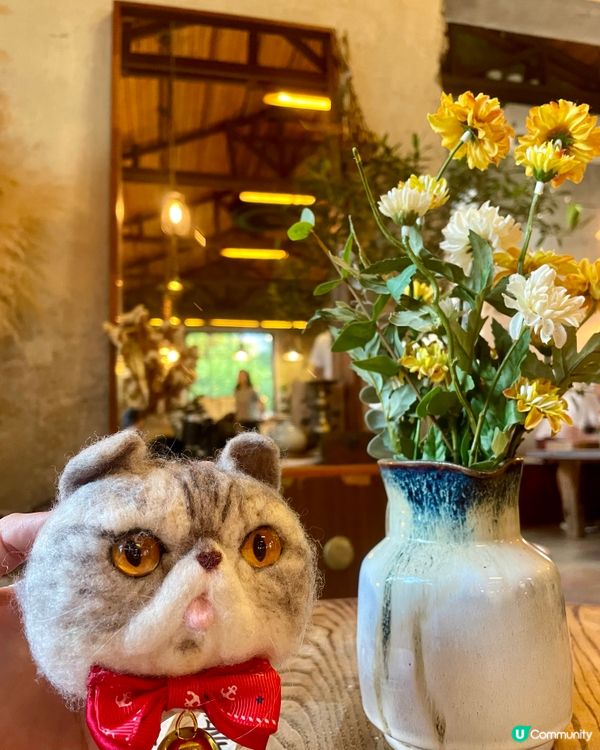 🇰🇷濟洲網紅打卡cafe🍊(多圖)